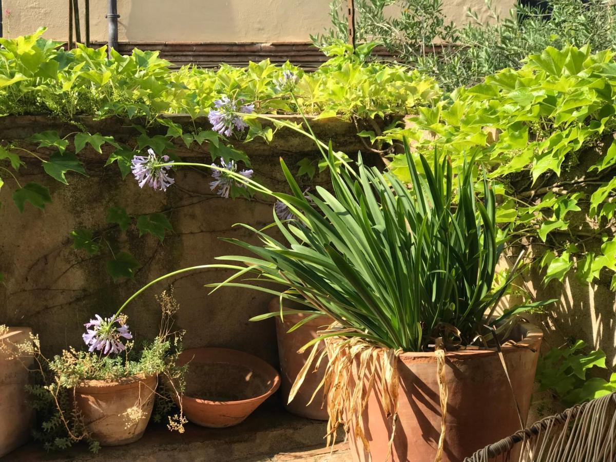 Bed and Breakfast Casa Migdia Sant Jordi Desvalls Exterior foto